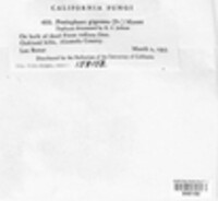 Image Associated With the Occurence